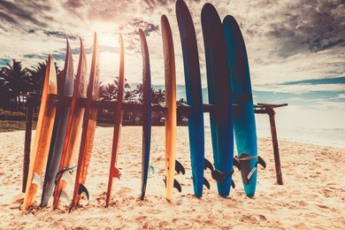 surfboards, many different surf boards on the beach, water sport, happy active summer vacation