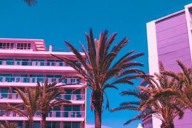 palm trees and parts of hotels in pink with turquoise sky. minimal and surreal. summer vacation. urban style