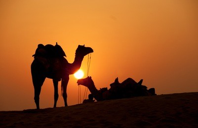 desert, camel ride, enjoying people