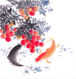lychee and koi carps hand drawn in chinese traditional style,mean good bless