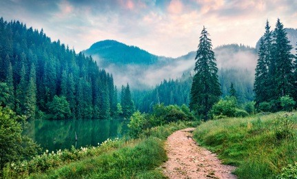 misty morning scene of lacu rosu lake. foggy summer sunrise in harghita county, romania, europe. beauty of nature concept background.