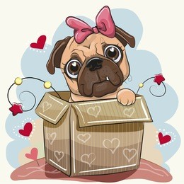 birthday card with a cute cartoon pug dog girl in the box