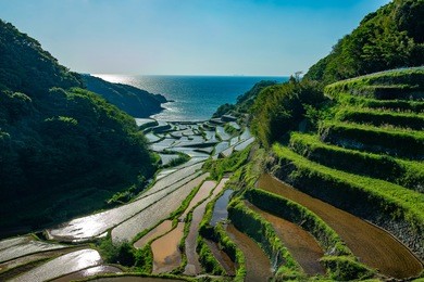rice terrace of hamanoura(saga prefecture,japan)