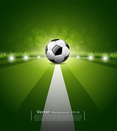soccer ball on green grass background, vector illustration