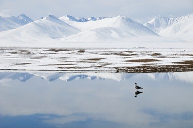 reflection, namtso lake, tibet, china
