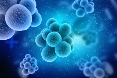 3d rendering virus bacteria cells background