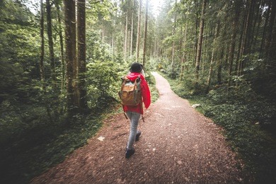 scenic view of a backpacking woman walking in the forrest at sunrise, hintersee, berchtesgaden, germany