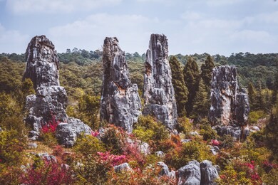 stone forest rock formations in china