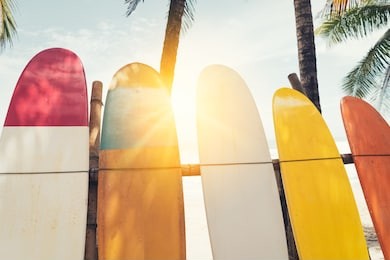 surfboard and palm tree on beach background. travel adventure sport and summer vacation concept. vintage tone filter effect color style.
