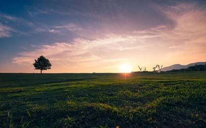 the sunset over the hillside