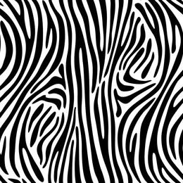 seamless zebra pattern with smooth lines. black and white. vector