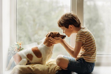 little boy kisses the dog in nose on the window. friendship, care, happiness, new year concept.