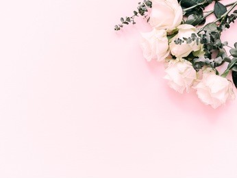 flowers composition. border made of white rose flowers and eucalyptus branches on a pink background. flat lay, top view, copy space