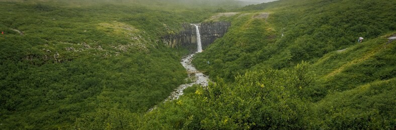 svartifoss in skaftafel, national park in iceland