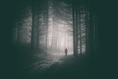 peson walking in path of dark and mysterious forest 