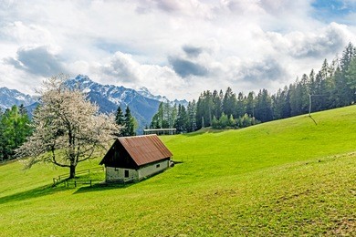 scenic view on the seasonal house next to the pasture on mountains background, slovenia