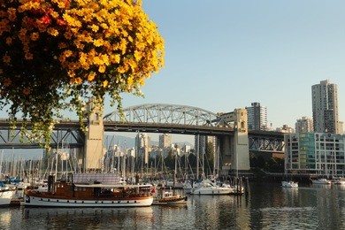 false creek and flower basket, vancouver. a false creek view from granville island in vancouver, british columbia, canada. the historic burrard bridge is in the background.