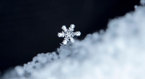 photo real snowflakes during a snowfall