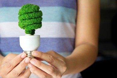 hand holding eco light bulb, save energy concept