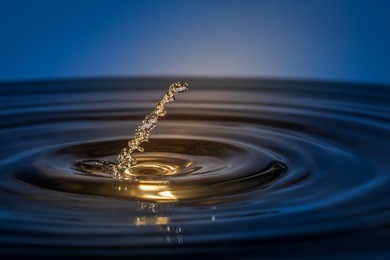 drops of water fall into the water