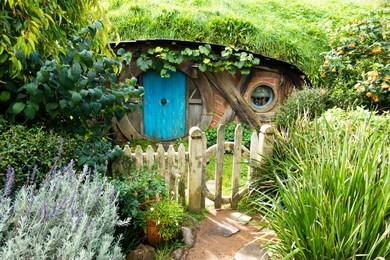 hobbit hole in new zealand. 