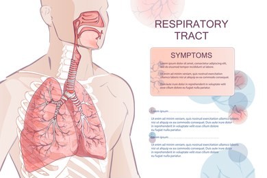 3d vector of the human respiratory system (lungs inside) larynx nasal throttle anatomy. man body parts. hand drown sketch illustration