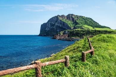 grassfields and fencewith view over ocean and volcano crater ilchulbong in the background, seongsan, jeju island, south korea