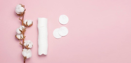 spa concept. flat lay background with branch of cotton plant, cotton pads. cotton cosmetic makeup removers tampons. hygienic sanitary swabs on the pink background top view with space for text