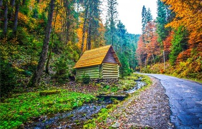autumn mountain forest road house landscape
