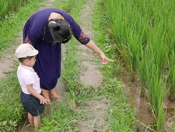 asian baby, standing in a small irrigation stream, enjoys learning from her mother about rice field - getting outside and engage with nature provides positive impact on baby's health and development 