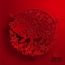 happy chinese new year 2019 zodiac sign with red paper cut art and craft style on color background.(chinese translation : year of the pig)