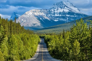 icefields parkway at mount sarbach - a spring evening view of icefields parkway running through dense forest at base of mount sarbach, banff national park, ab, canada.