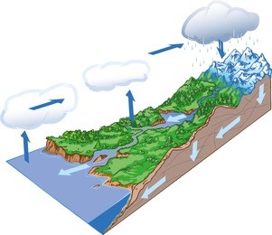 circulation of water on earth.