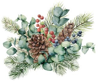 watercolor bouquet with eucalyptus leaves, cone, fir branch and berries. hand painted green brunch, red and blue berries isolated on white background. illustration for design, print or background