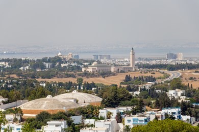 the aerial view of tunis with the high minaret, tunisia, africa