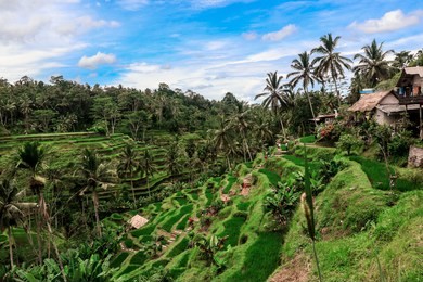view to the hills with the green rice fields, bali island, indonesia