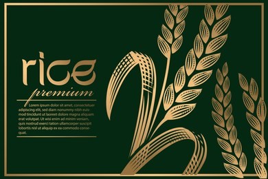 premium rice natural vector design