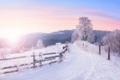 beautiful winter nature landscape, amazing mountain view of sunset. scenic image of snowy woodland. frosty weather. superb winter wallpapers.