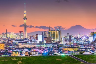 tokyo, japan cityscape with mt. fuji in the distance at dusk.