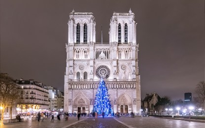 christmas tree in front of notre dame de paris