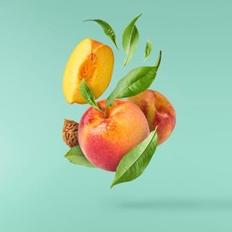 flying fresh ripe peach with green leaves isolated on turquoise background. concept of food levitation, high resolution image