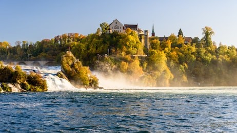 rhine waterfall in switzerland. autumn river landscape. big river in sunset beam. historical monuments of switzerland. autumn nature of swiss mountains. the famous landmark of switzerland.