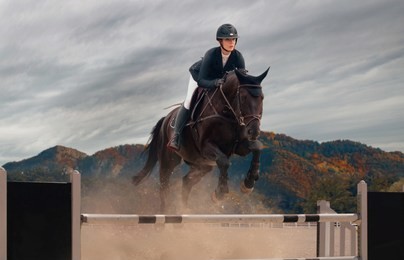 equestrian sport - a young girl is riding a horse