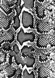 
snake skin pattern texture repeating seamless monochrome black and white. . texture snake. fashionable print. fashion and stylish background