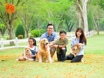 happy family playing with a cute golden retriever dog in the park.