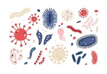 set of different microorganisms isolated on white background. collection of infectious germs, protists, microbes. bundle of disease causing bacteria, viruses. bright colored flat illustration.