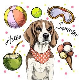  portrait of beagle dog. hello summer cartoon illustration. coconut cocktail, balls, ice cream. hand drawn pet portait. poster, t-shirt print, holiday celebration, postcard, summertime.