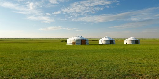 camp of yurt , in the grassland of mongolia