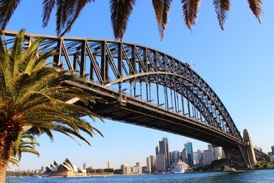 sydney harbour at sunset - opera house sydney - harbour bridge sydney