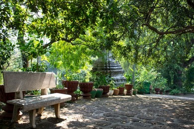 a serene setting at wat phnom in phnom penh, cambodia, featuring a bench, a concrete stupa, pot plants and a cobbled path under shady trees.
